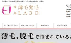 岐阜市の薄毛発毛LABO岐阜店のホームページまとめ