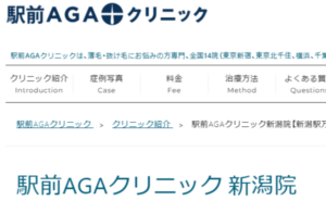 新潟市にある駅前AGAクリニックのホームページまとめ