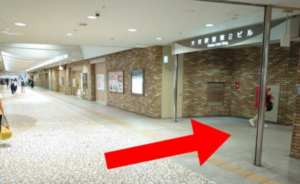 ｲｰｽﾄ駅前ｸﾘﾆｯｸ大阪院の行き方(阪神各線梅田駅)④右側の大阪駅前第二ビルに入る
