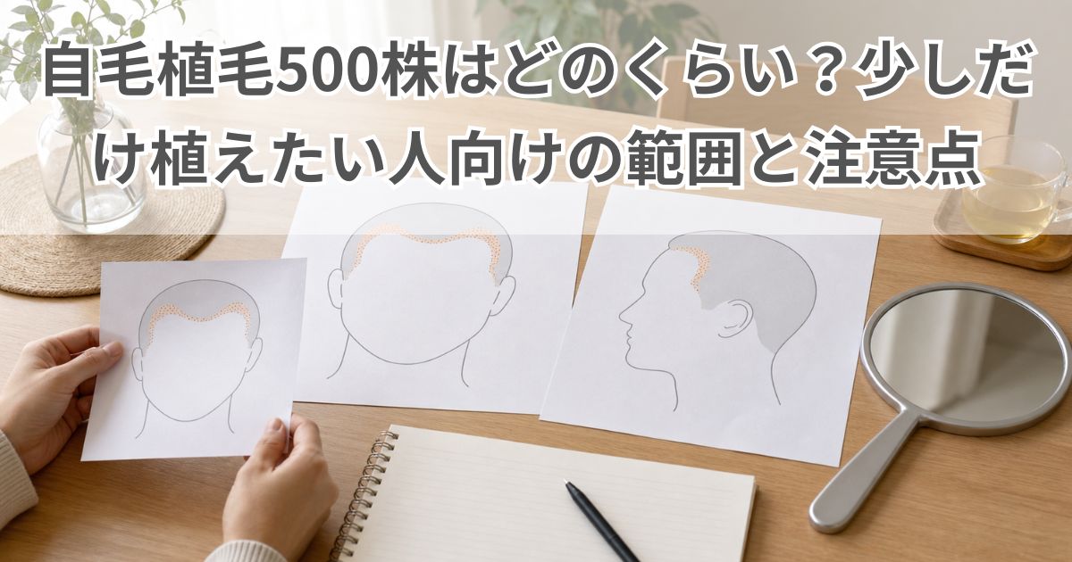 自毛植毛500株で生え際やM字の小範囲補正を相談前に整理する机上のイメージ